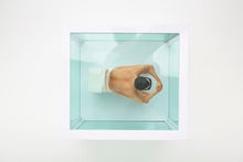 DAMIEN HIRST ACTION FIGURE